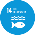 UN SDG Water