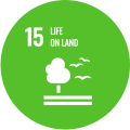 UN SDG Land