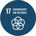 UN SDG Partnerships